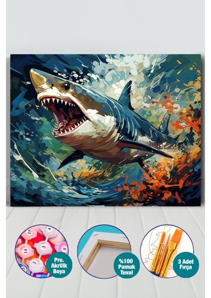 Köpek Balığı Sayılarla Boyama Seti