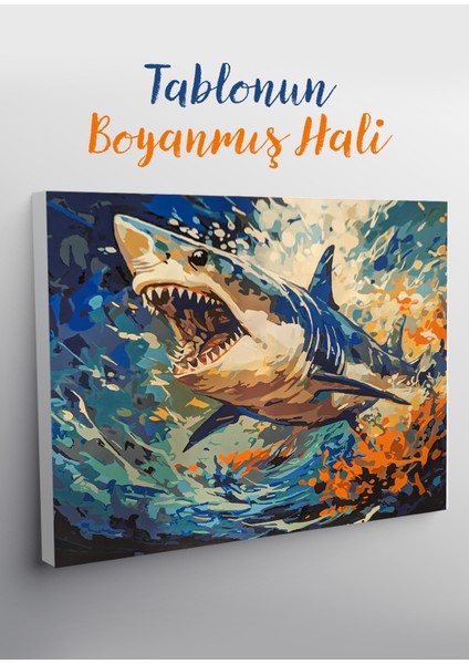 Köpek Balığı Sayılarla Boyama Seti fiyatları