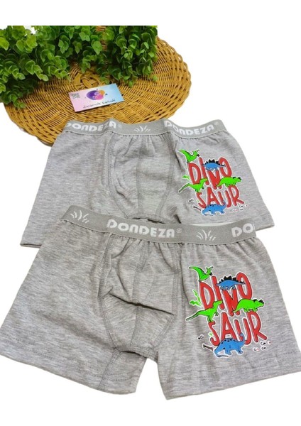 Erkek Çocuk %95 Pamuklu Baskılı 2'li Boxer