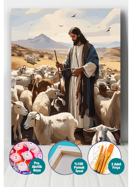 Şefkatli Çoban Sayılarla Boyama Seti