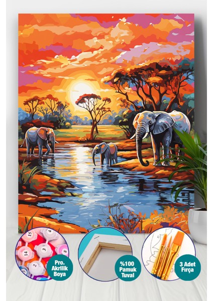 Fil Ailesi Sayılarla Boyama Seti