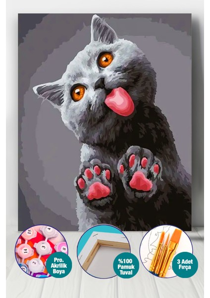 Munzur Kedi Sayılarla Boyama Seti