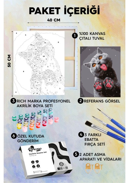 Munzur Kedi Sayılarla Boyama Seti fiyatları