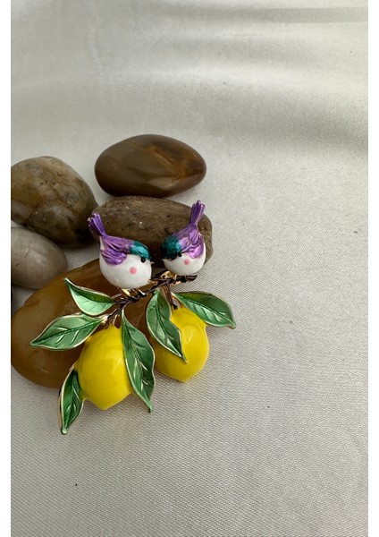 Sarı Limon ve Yaprak Detay Kuşlar Broş (4cm) fırsatları
