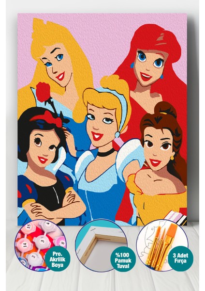 Prenses Kızlar Sayılarla Boyama Seti