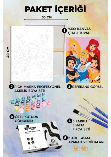 Prenses Kızlar Sayılarla Boyama Seti fiyatları