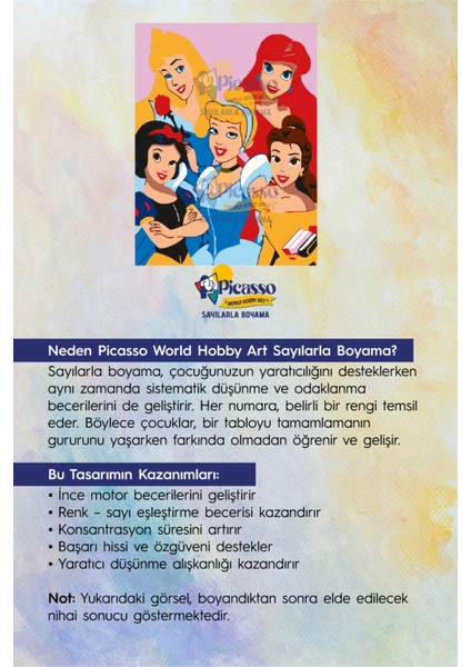 Prenses Kızlar Sayılarla Boyama Seti modelleri