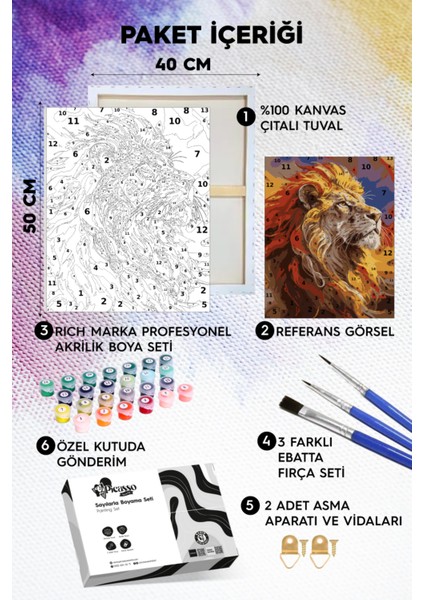 Alemin Aslanı Sayılarla Boyama Seti fiyatları