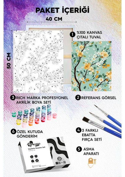 Bahar Dalı Sayılarla Boyama Seti fiyatları