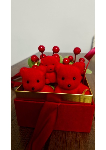 Kırmızı Ayıcıklı Kutu modelleri