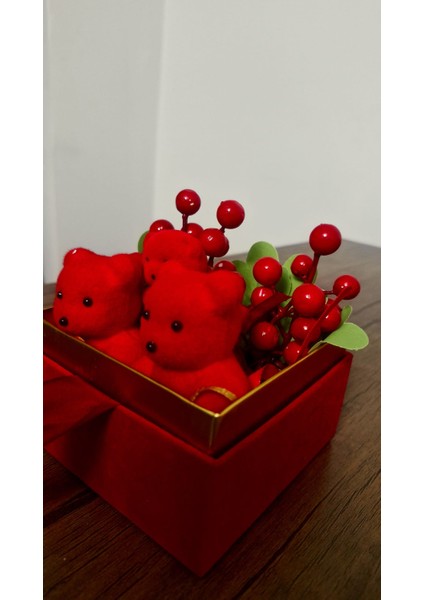 Kırmızı Ayıcıklı Kutu fırsatları