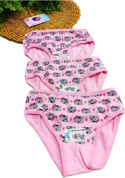 Kız Çocuk Kedili 3'lü Slip Külot Takımı Renkli