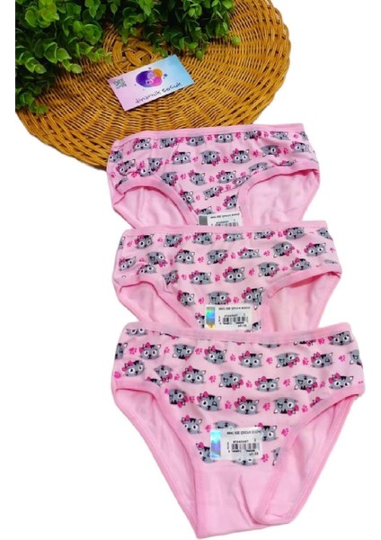 Kız Çocuk Kedili 3'lü Slip Külot Takımı Renkli modelleri