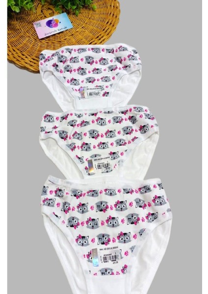 Kız Çocuk Kedili 3'lü Slip Külot Takımı Renkli