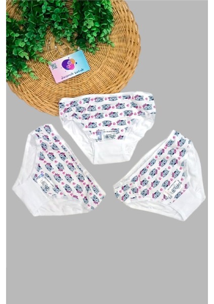 Kız Çocuk Kedili 3'lü Slip Külot Takımı Renkli fiyatları