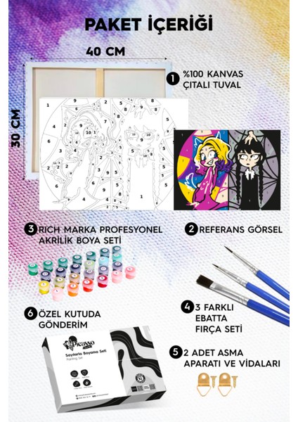 Wednesday Sayılarla Boyama Seti fiyatları