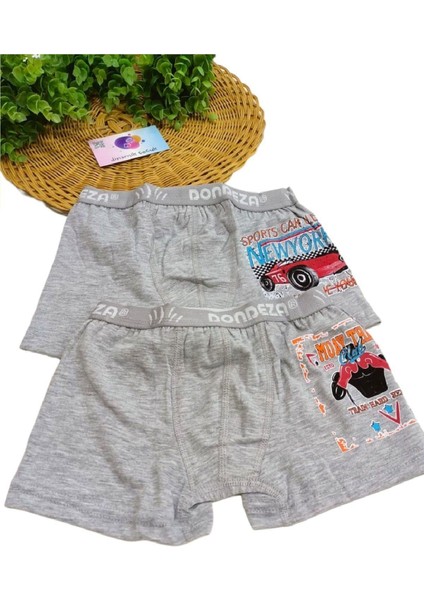 Erkek Çocuk %95 Pamuklu Baskılı 2'li Boxer