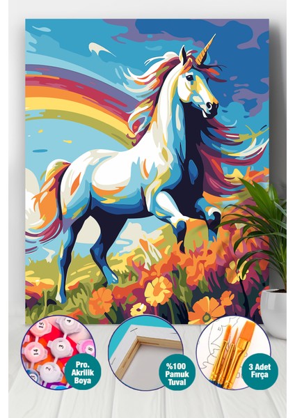 Unicorn Sayılarla Boyama Seti