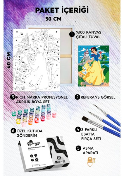 Pamuk Prenses Sayılarla Boyama Seti fiyatları