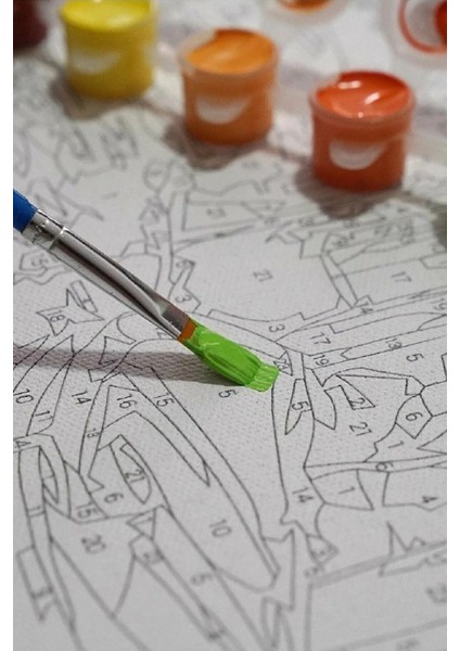 Pamuk Prenses Sayılarla Boyama Seti fırsatları