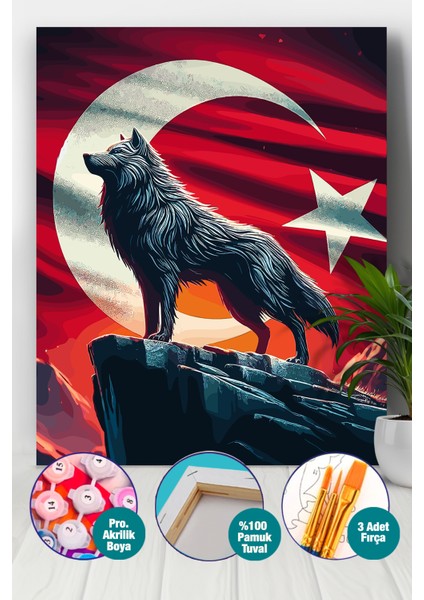 Ebedi Vatan Sayılarla Boyama Seti