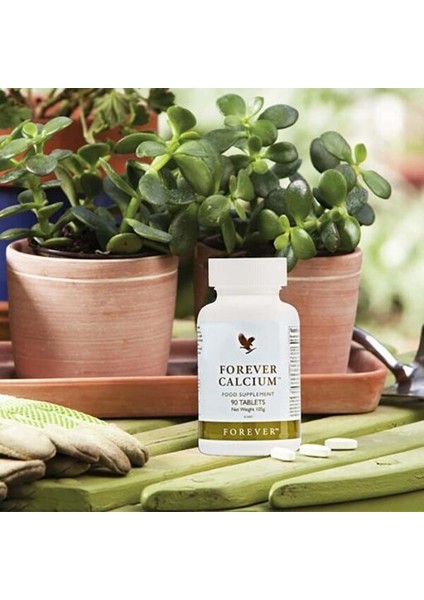 Forever Calcium fiyatları