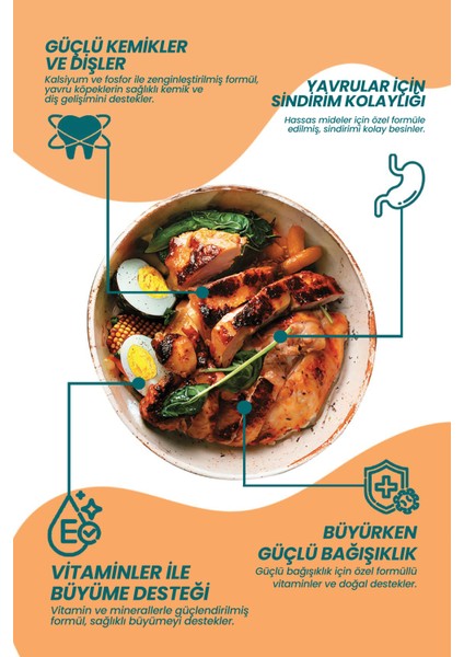 Tavuklu Süper Premium Yavru Kedi Maması 4kg | Hipoalerjenik – Düşük Tahıllı – Yüksek Proteinli modelleri