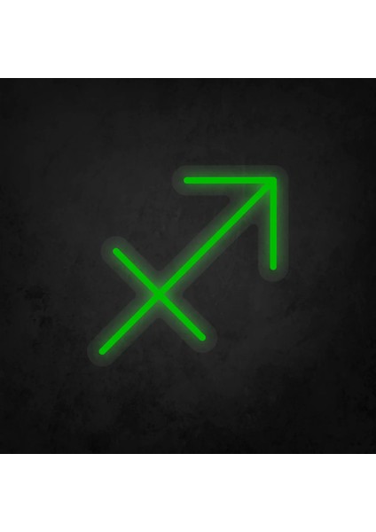 Yay Burcu Sembolü Neon LED