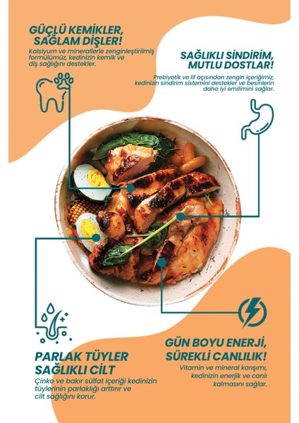 Tavuklu Süper Premium Kısır Kedi Maması 4kg | Hipoalerjenik – Düşük Tahıllı – Yüksek Proteinli modelleri