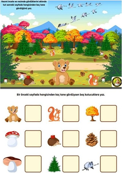 Cırt Cırtlı Evde Matematik Etkinlik Yaz-Sil Kitabı modelleri