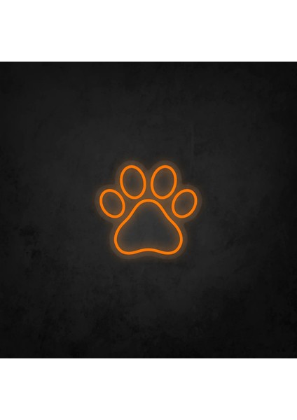 Kedi Patisi Neon LED