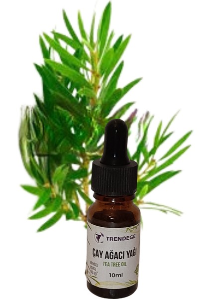 Çay Ağacı Yağı 10 ml (Tea Tree Oil) modelleri