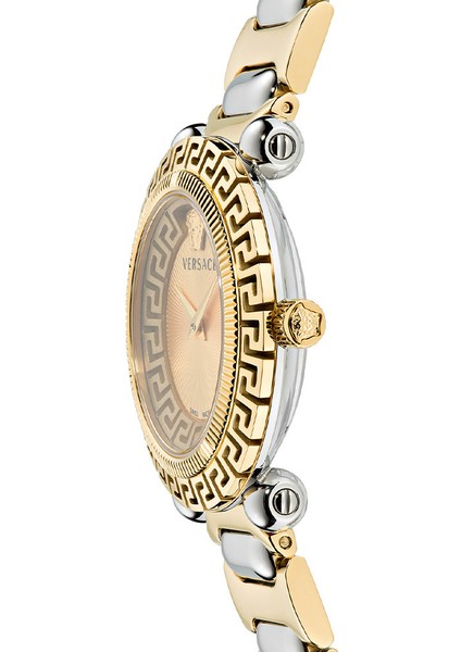 VRSCVE6I00423 fiyatları