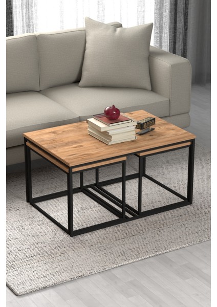 Tv Sehpası Tv Ünitesi 160 Cm Atlantik Çam Antrasit Mistral 5071 modelleri