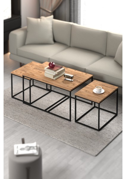 Tv Sehpası Tv Ünitesi 160 Cm Atlantik Çam Antrasit Mistral 5071 fırsatları