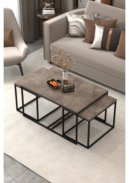 Tv Sehpası Tv Ünitesi Atlantik Çam Antrasit Gold 160 Cm Linya 5040