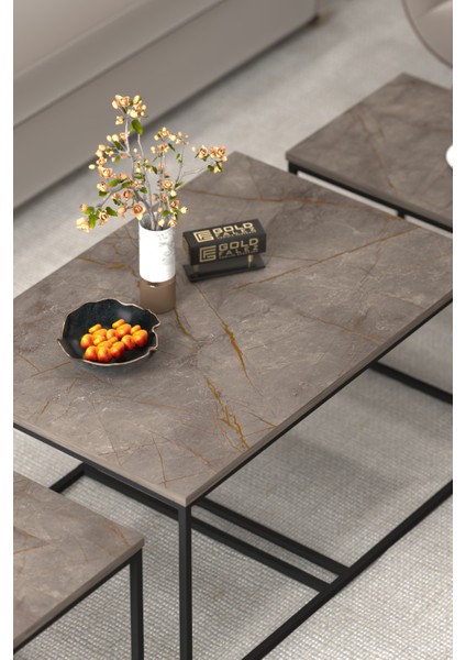 Tv Sehpası Tv Ünitesi Atlantik Çam Antrasit Gold 160 Cm Linya 5040 modelleri