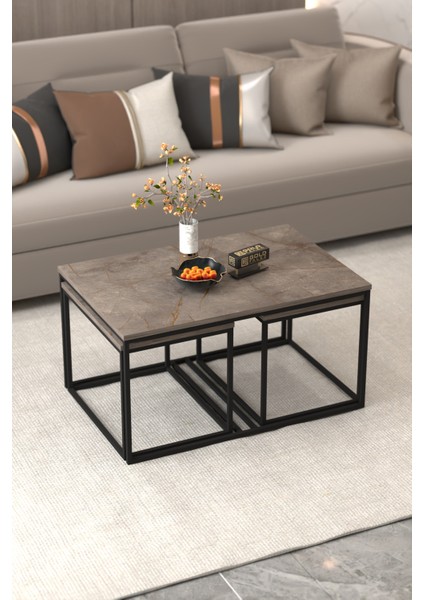 Tv Sehpası Tv Ünitesi Atlantik Çam Antrasit Gold 160 Cm Linya 5040 fırsatları