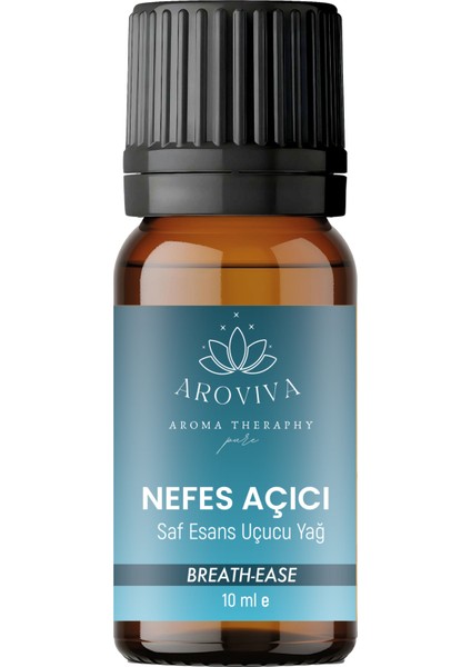 Nefes-I Mevlana Oda Kokusu 4'lü Set- Doğal Esansiyel Uçucu Yağ, Difüzör Esansı, Buhurdanlık Yağı modelleri