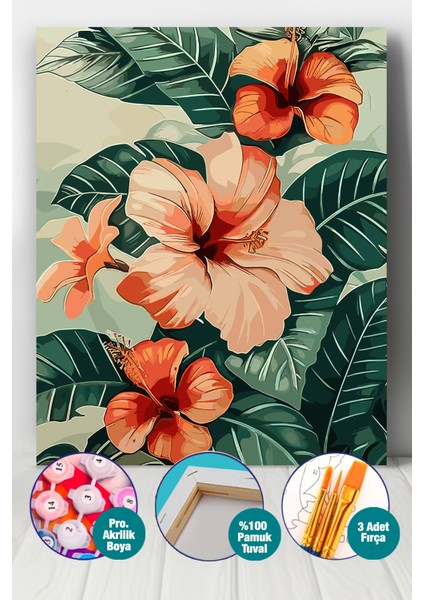 Sanatsal Ebegümeci Sayılarla Boyama Seti