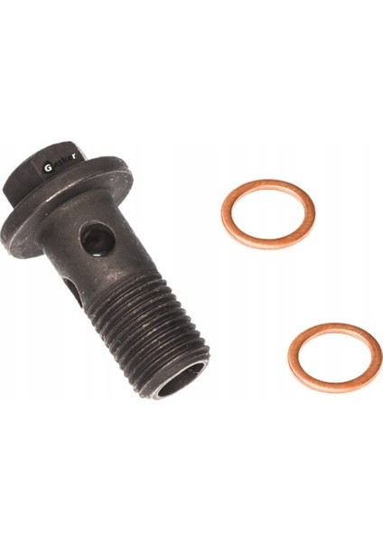 TURBO YAGLAMA VIDASI MASTER III MAIS 151882356R fiyatları