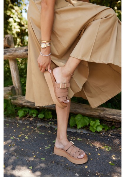 Dalia Kadın Taba Tutun Suet Terlik indirimleri