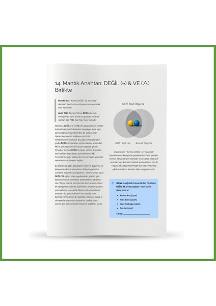 Mantıksal Düşünme Seviye-2 fiyatları