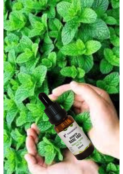 Aromatik Nane Yağı 20 ml (Aromatıc Papper Mınt Oil) fiyatları