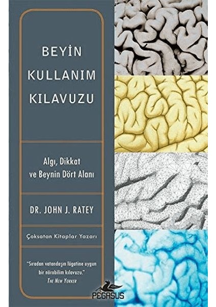 Beyin Kullanım Kılavuzu