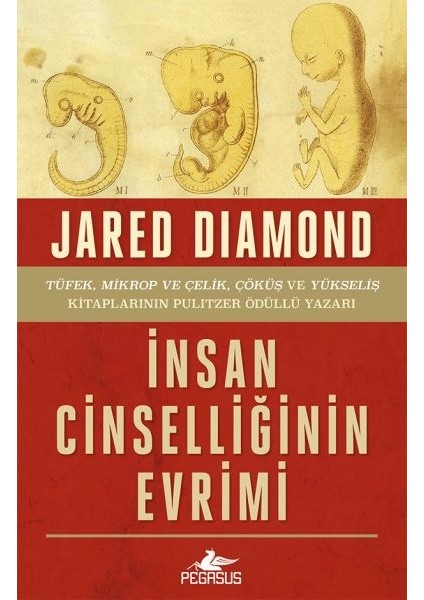 Insan Cinselliğinin Evrimi - Ciltsiz