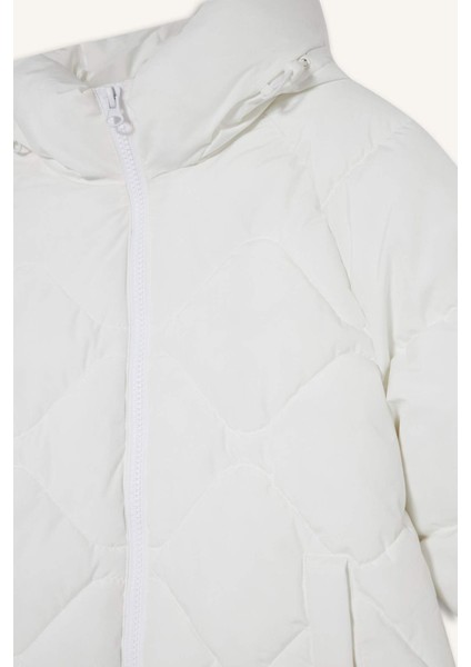 Fit Su İtici Oversize Fit Geniş Kalıp Kapüşonlu Fermuarlı Cepli Şişme Mont E9260AX25AU