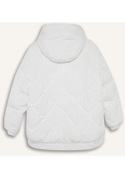 Fit Su İtici Oversize Fit Geniş Kalıp Kapüşonlu Fermuarlı Cepli Şişme Mont E9260AX25AU