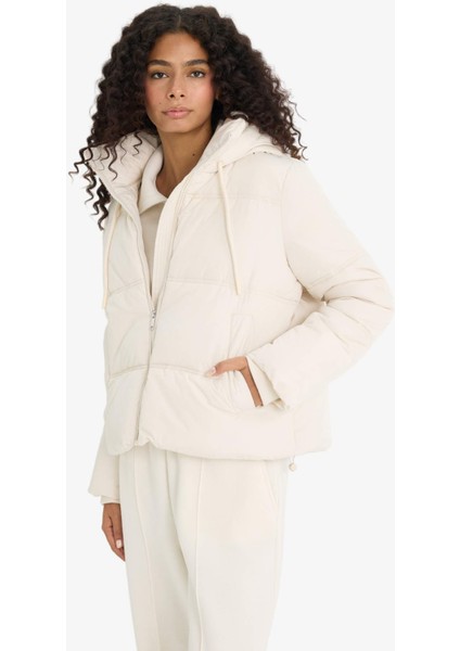 Regular Fit Kapüşonlu Fermuarlı Şişme Mont F1944AX25WN modelleri