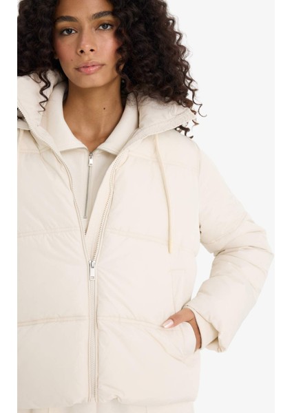 Regular Fit Kapüşonlu Fermuarlı Şişme Mont F1944AX25WN fırsatları